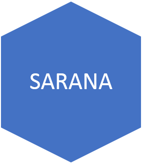 portfolio image 5